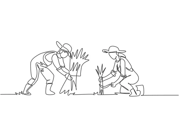 农民夫妇的单行绘图是收获水稻 还有捆扎的水稻 农业挑战最小的概念 连续线条绘图设计图形矢量插图 — 图库矢量图片