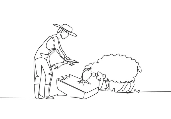 Ενιαία Συνεχή Γραμμή Αντλώντας Νεαρό Αρσενικό Αγρότη Ταΐζει Πρόβατα Έτσι — Διανυσματικό Αρχείο