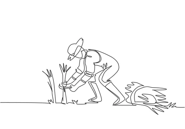 Einzeilige Zeichnung Eines Jungen Männlichen Bauern Erntete Reis Und Gab — Stockvektor