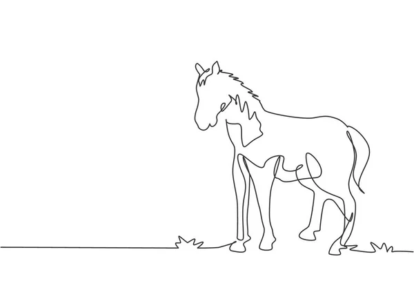 Una Linea Continua Disegnare Cavallo Piedi Saldamente Sul Pascolo Aziende — Vettoriale Stock