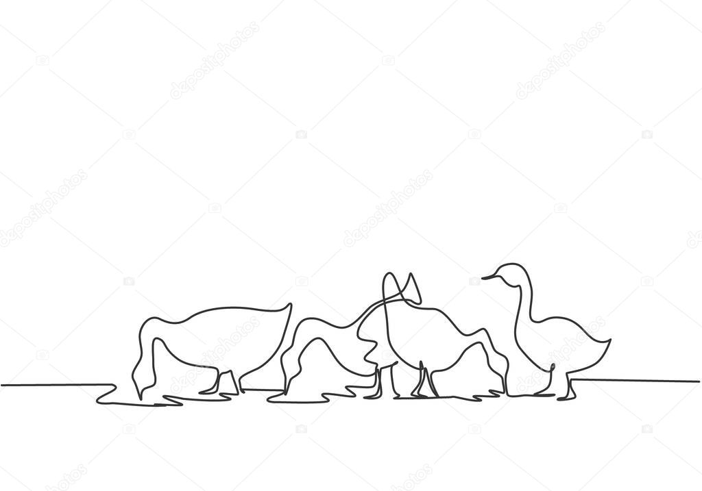 Single one line drawing of the geese are being fed to be healthy and produce the best eggs and meat. Farming challenge minimal concept. Modern continuous line draw design graphic vector illustration.