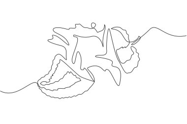 Tek bir aralıksız çizgili ekşi suyu iki parçaya bölünür ve alt kısmı su fışkırtır. Antioksidan içerikli tatlı meyve. Taze. Juice Splash. Bir çizgi tasarımı vektör illüstrasyonu