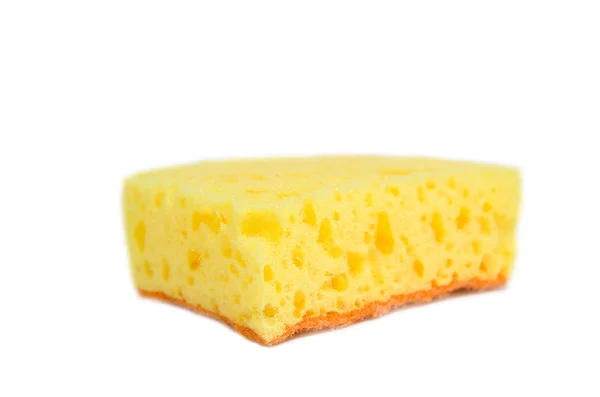 Sponge on a white background — Stock Photo, Image