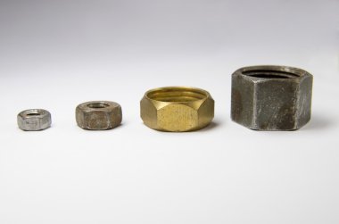 farklı boyutlarda beyaz zemin üzerine fındık