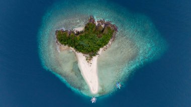 Filipinler 'de Coron ve El Nido arasındaki uzak Tacling Adası' nın insansız hava görüntüsü. Coron 'dan El Nido' ya yapılan gezide Büyük Rüya Kayıkçısı 'yla birlikte durduğumuz bu bakir adadaki güzel kumsal. Yüksek kalite fotoğraf