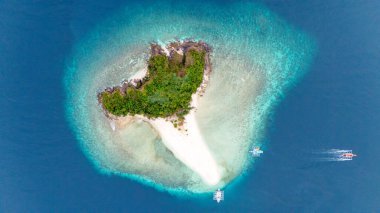 Filipinler 'de Coron ve El Nido arasındaki uzak Tacling Adası' nın insansız hava görüntüsü. Coron 'dan El Nido' ya yapılan gezide Büyük Rüya Kayıkçısı 'yla birlikte durduğumuz bu bakir adadaki güzel kumsal. Yüksek kalite fotoğraf