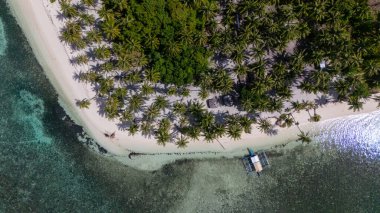 Filipinler 'in Balabac kentindeki Tropikal bir adada Turkuaz Suları ile çevrili Norma Sahili' nin insansız hava aracı görüntüsü. Yüksek kalite fotoğraf