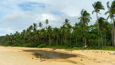 El Nido, Palawan, Filipinler 'deki Nacpan Sahili manzarası. Yüksek kalite fotoğraf