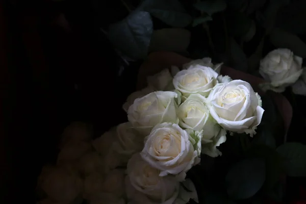 Büyük Beyaz Güllerden Bir Buket — Stok fotoğraf