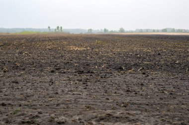 Baharda sürülmüş tarla. Tarlada sürülen tarlaların manzarası.