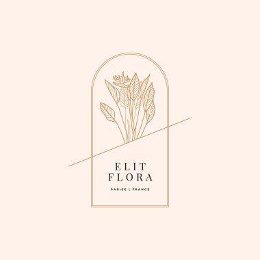 Soyut Çiçek Vektör İşaretleri veya Logo Şablonları. Klasik tipografi ile Retro Floral Illustration. Kadın logosu. Çiçekçi, fotoğrafçı, moda blogcusu, tasarım stüdyosu için Modern Logo Şablonu.