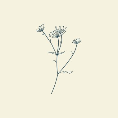 Vahşi Çiçek Botanik logosu çizimi. Minimum çiçekli vintage tarzı. Karalama bitkisi çizimi. Saf doğa organik fırça. Çizgi çizme. Botanik çiçek rozeti. Eko ürün amblemi.