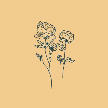 Vahşi Çiçek Botanik logosu çizimi. Minimum çiçekli vintage tarzı. Karalama bitkisi çizimi. Saf doğa organik fırça. Çizgi çizme. Botanik çiçek rozeti. Eko ürün amblemi.
