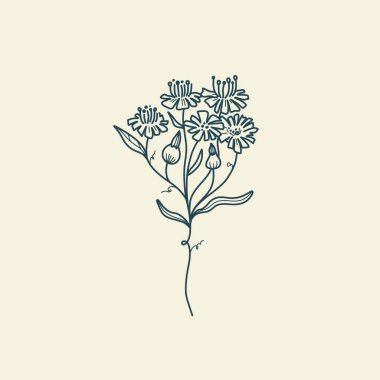 Vahşi Çiçek Botanik logosu çizimi. Minimum çiçekli vintage tarzı. Karalama bitkisi çizimi. Saf doğa organik fırça. Çizgi çizme. Botanik çiçek rozeti. Eko ürün amblemi.