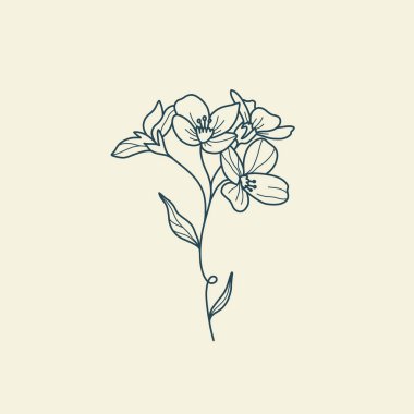 Vahşi Çiçek Botanik logosu çizimi. Minimum çiçekli vintage tarzı. Karalama bitkisi çizimi. Saf doğa organik fırça. Çizgi çizme. Botanik çiçek rozeti. Eko ürün amblemi.