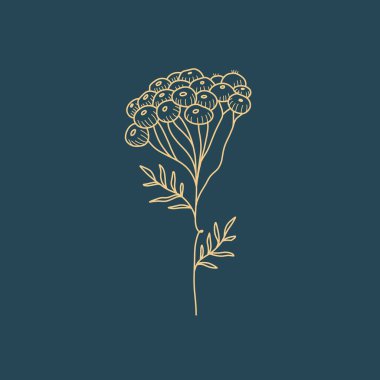 Vahşi Çiçek Botanik logosu çizimi. Minimum çiçekli vintage tarzı. Karalama bitkisi çizimi. Saf doğa organik fırça. Çizgi çizme. Botanik çiçek rozeti. Eko ürün amblemi.