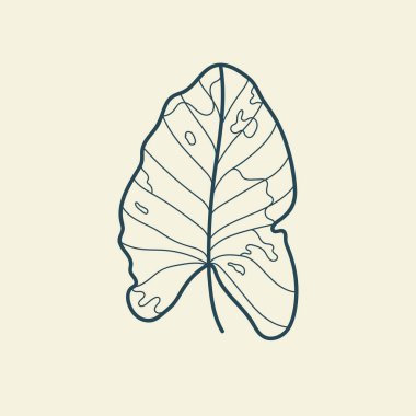 Tropikal yaprak çizimi. Minimum çiçekli vintage tarzı. Karalama bitkisi çizimi. Saf doğa organik fırça. Çizgi çizme. Botanik çiçek rozeti. Eko ürün amblemi.