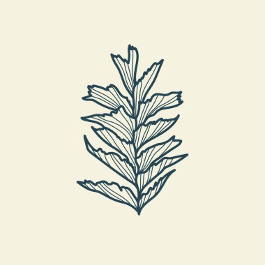 Tropikal yaprak çizimi. Minimum çiçekli vintage tarzı. Karalama bitkisi çizimi. Saf doğa organik fırça. Çizgi çizme. Botanik çiçek rozeti. Eko ürün amblemi.