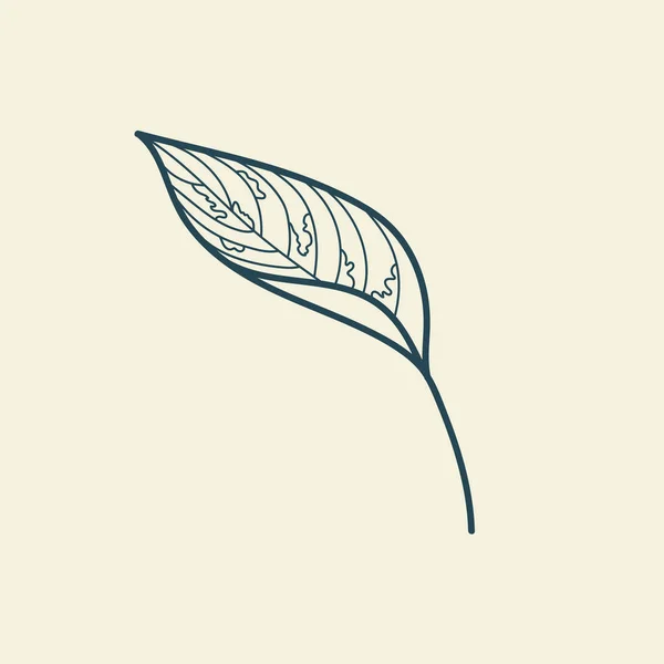 熱帯の葉のアイコンのアウトライン描画 最小限の花のヴィンテージスタイル 植物のベクトル図をかわす 純粋な自然有機ブラシ 線画だ 植物の花のバッジ エコプロダクトエンブレム — ストックベクタ