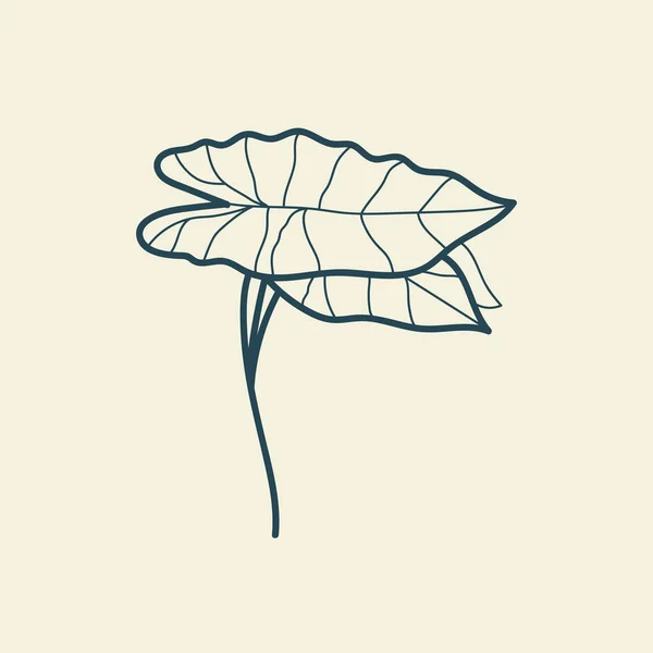 热带树叶图标草图 最小的花香复古风格 涂鸦植物病媒图解 纯天然的有机刷 画线植物学植物徽章 生态产品标志 — 图库矢量图片