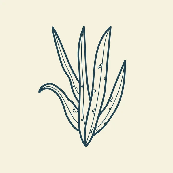 Feuilles Tropicales Icône Dessin Contour Style Vintage Floral Minimal Illustration — Image vectorielle