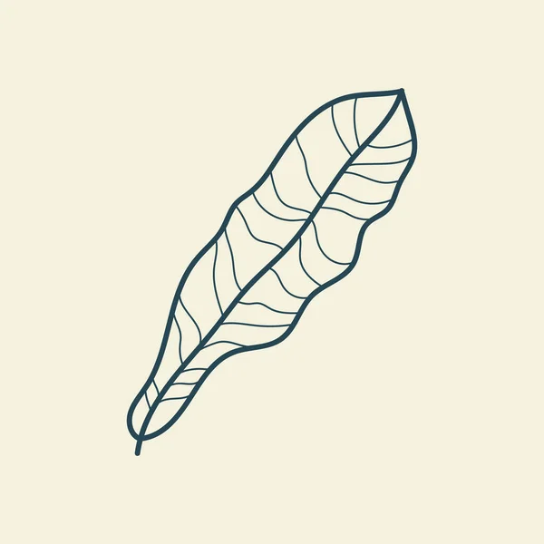 Feuilles Tropicales Icône Dessin Contour Style Vintage Floral Minimal Illustration — Image vectorielle