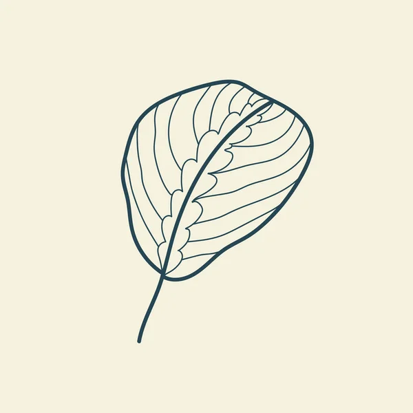 Feuilles Tropicales Icône Dessin Contour Style Vintage Floral Minimal Illustration — Image vectorielle