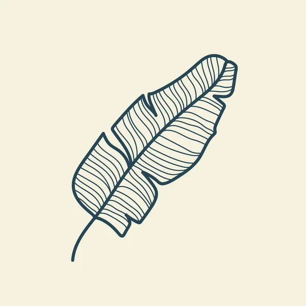 Feuilles Tropicales Icône Dessin Contour Style Vintage Floral Minimal Illustration — Image vectorielle