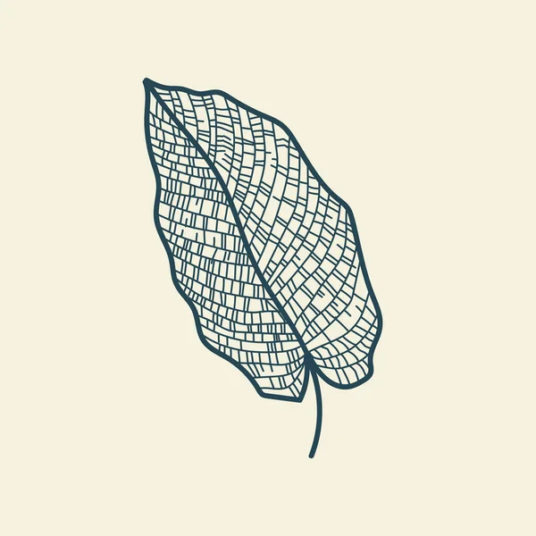 Feuilles Tropicales Icône Dessin Contour Style Vintage Floral Minimal Illustration — Image vectorielle