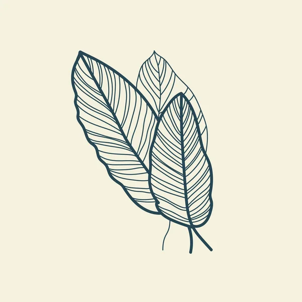 Tropiska Blad Ikonen Kontur Ritning Minimal Blommig Vintage Stil Doodle — Stock vektor