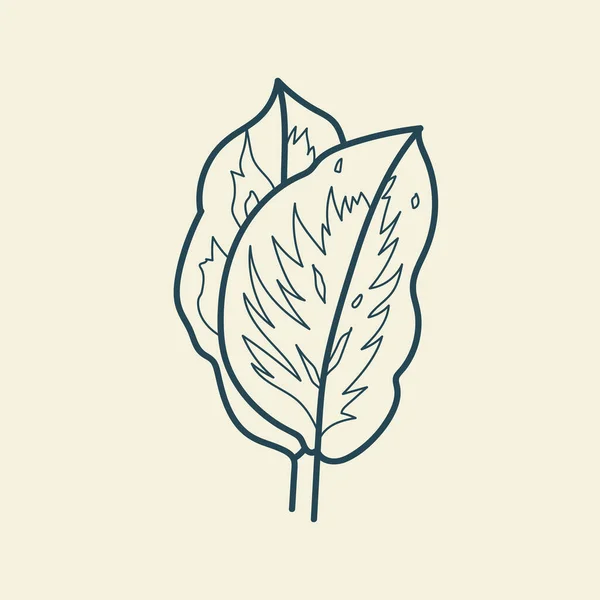 Feuilles Tropicales Icône Dessin Contour Style Vintage Floral Minimal Illustration — Image vectorielle