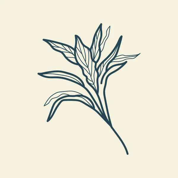 Feuilles Tropicales Icône Dessin Contour Style Vintage Floral Minimal Illustration — Image vectorielle