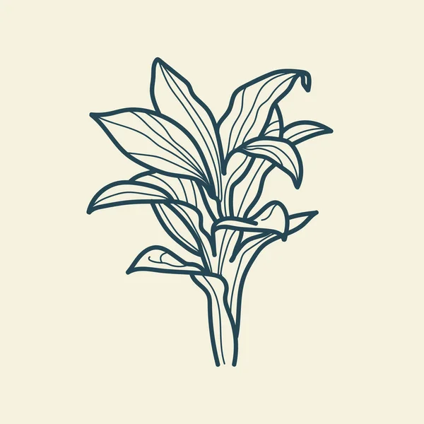 Feuilles Tropicales Icône Dessin Contour Style Vintage Floral Minimal Illustration — Image vectorielle