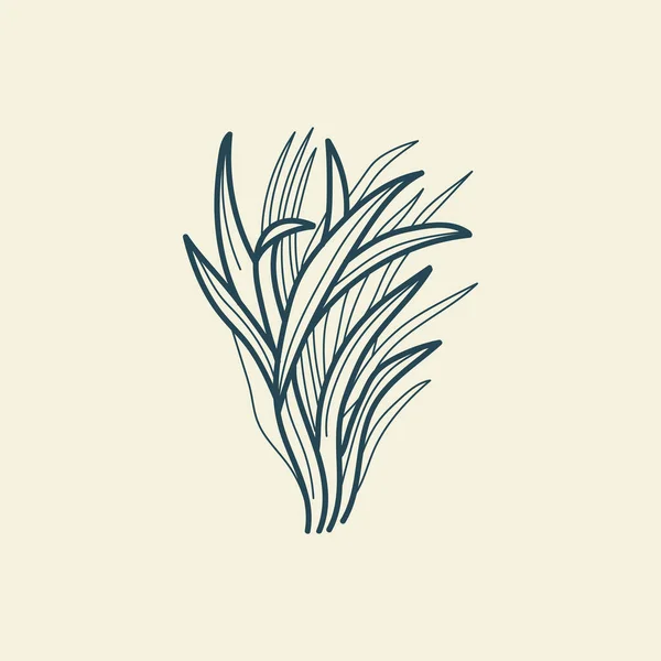Tropische Bladeren Pictogram Schets Tekening Minimale Bloemen Vintage Stijl Doodle — Stockvector