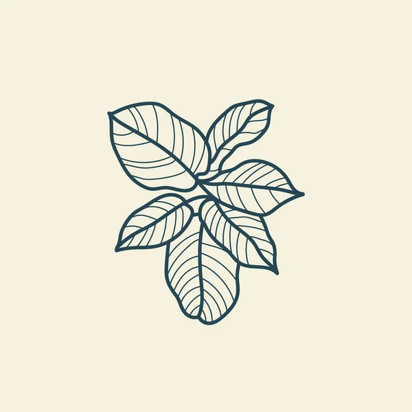 Tropiska Blad Ikonen Kontur Ritning Minimal Blommig Vintage Stil Doodle — Stock vektor