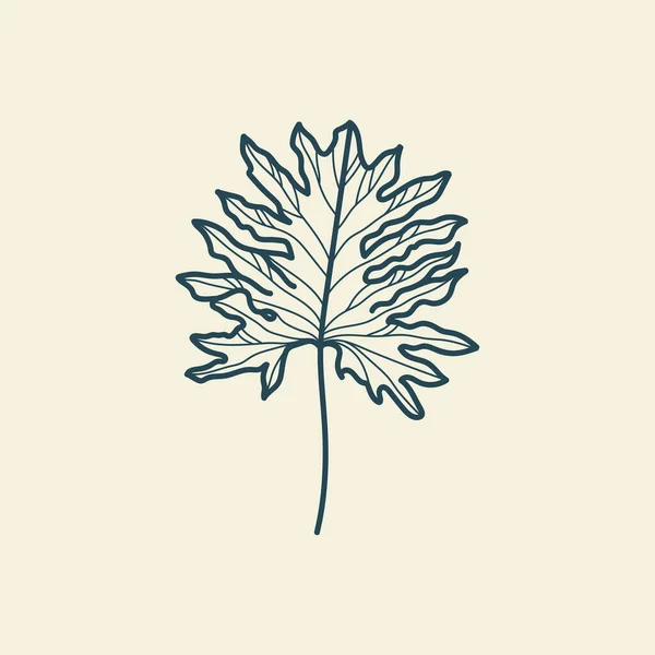 Feuilles Tropicales Icône Dessin Contour Style Vintage Floral Minimal Illustration — Image vectorielle