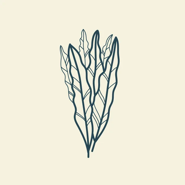 熱帯の葉のアイコンのアウトライン描画 最小限の花のヴィンテージスタイル 植物のベクトル図をかわす 純粋な自然有機ブラシ 線画だ 植物の花のバッジ エコプロダクトエンブレム — ストックベクタ