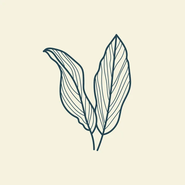 Feuilles Tropicales Icône Dessin Contour Style Vintage Floral Minimal Illustration — Image vectorielle