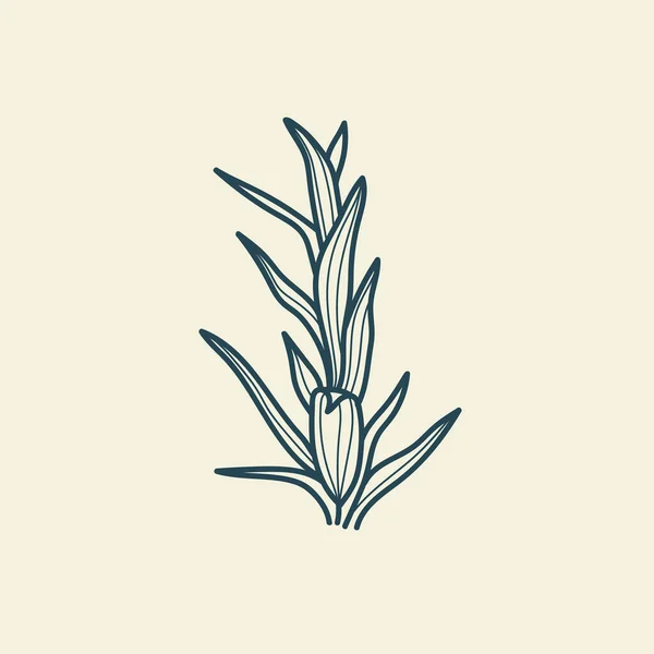 빈티지 스타일 Doodle Plant Vector Illustration 약자입니다 자연의 유기농 선그리기 — 스톡 벡터