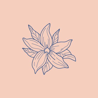 Soyut Çiçek Vektör İşaretleri veya Logo Şablonları. Klasik tipografi ile Retro Floral Illustration. Kadın logosu. Çiçekçi, fotoğrafçı, moda blogcusu, tasarım stüdyosu için Modern Logo Şablonu.