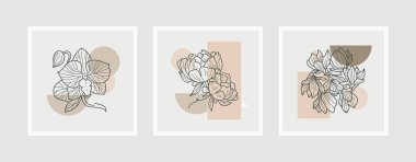 Botanik duvar sanat vektörü ayarlandı. Soyut şekilli yaprak çizimi. Baskı, kapak, duvar kağıdı, asgari ve doğal duvar sanatı için soyut bitki sanatı tasarımı. Vektör illüstrasyonu.