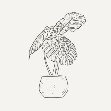 Beyaz arka planda izole edilmiş ev bitkileri. Kapalı kaplarda bitki koleksiyonu. Ev dekoru. Satır biçiminde vektör illüstrasyonu