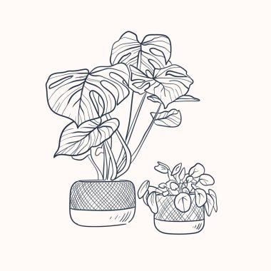 Beyaz arka planda izole edilmiş ev bitkileri. Kapalı kaplarda bitki koleksiyonu. Ev dekoru. Satır biçiminde vektör illüstrasyonu
