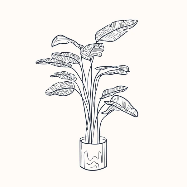 Hem Växter Isolerad Vit Bakgrund Inomhusväxter Krukor Inredning Vektor Illustration — Stock vektor