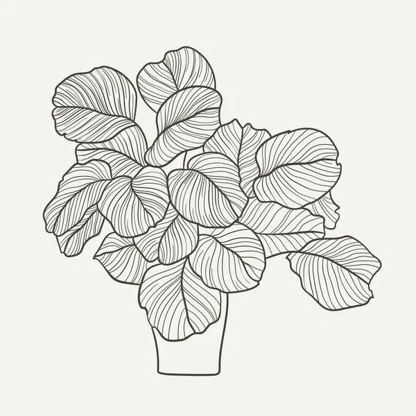 Hem Växter Isolerad Vit Bakgrund Inomhusväxter Krukor Inredning Vektor Illustration — Stock vektor