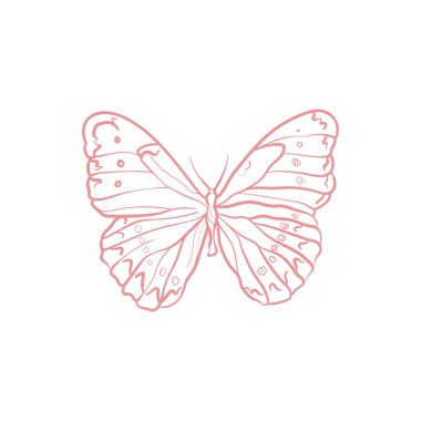 Kelebek. Trend vektör illüstrasyonu. Düğün süsü, logo için. Doğrusal sanat.