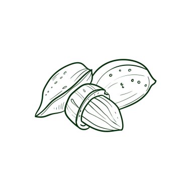 Badem Çizgisi vektör illüstrasyonu. Mobil konsept, baskı, menü ve web uygulamaları için ayrıntılı yiyecek simgesi. Restoran, bar, vegan, sağlıklı ve organik yiyecekler, market, çiftçi pazarı için..