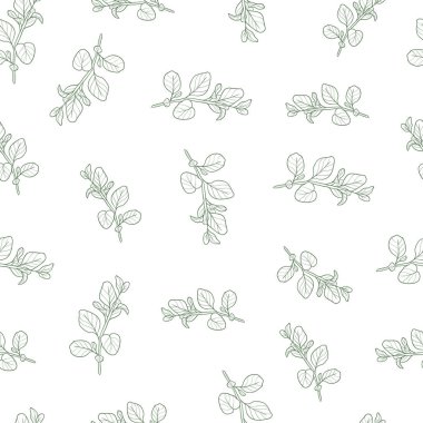 Sağlıklı besin vektörü kusursuz desen. Restoran, bar, vegan, sağlıklı ve organik gıda, pazar, çiftçi pazarı, aşçılık okulu, yemek kamyonu, teslimat servisi için el çizimleri.