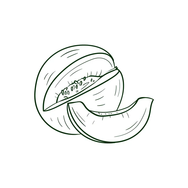 Melon Line Vektor Illustration Detailliertes Food Symbol Für Mobile Konzepte — Stockvektor