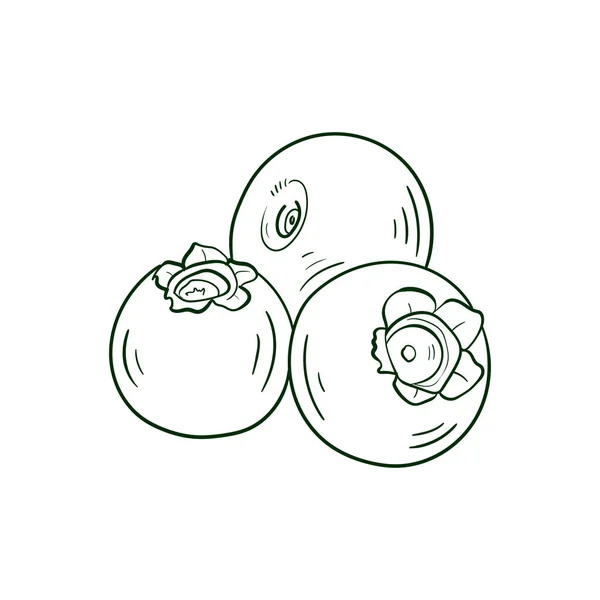 Blueberry Line Vektor Illustration Detailliertes Food Symbol Für Mobile Konzepte — Stockvektor